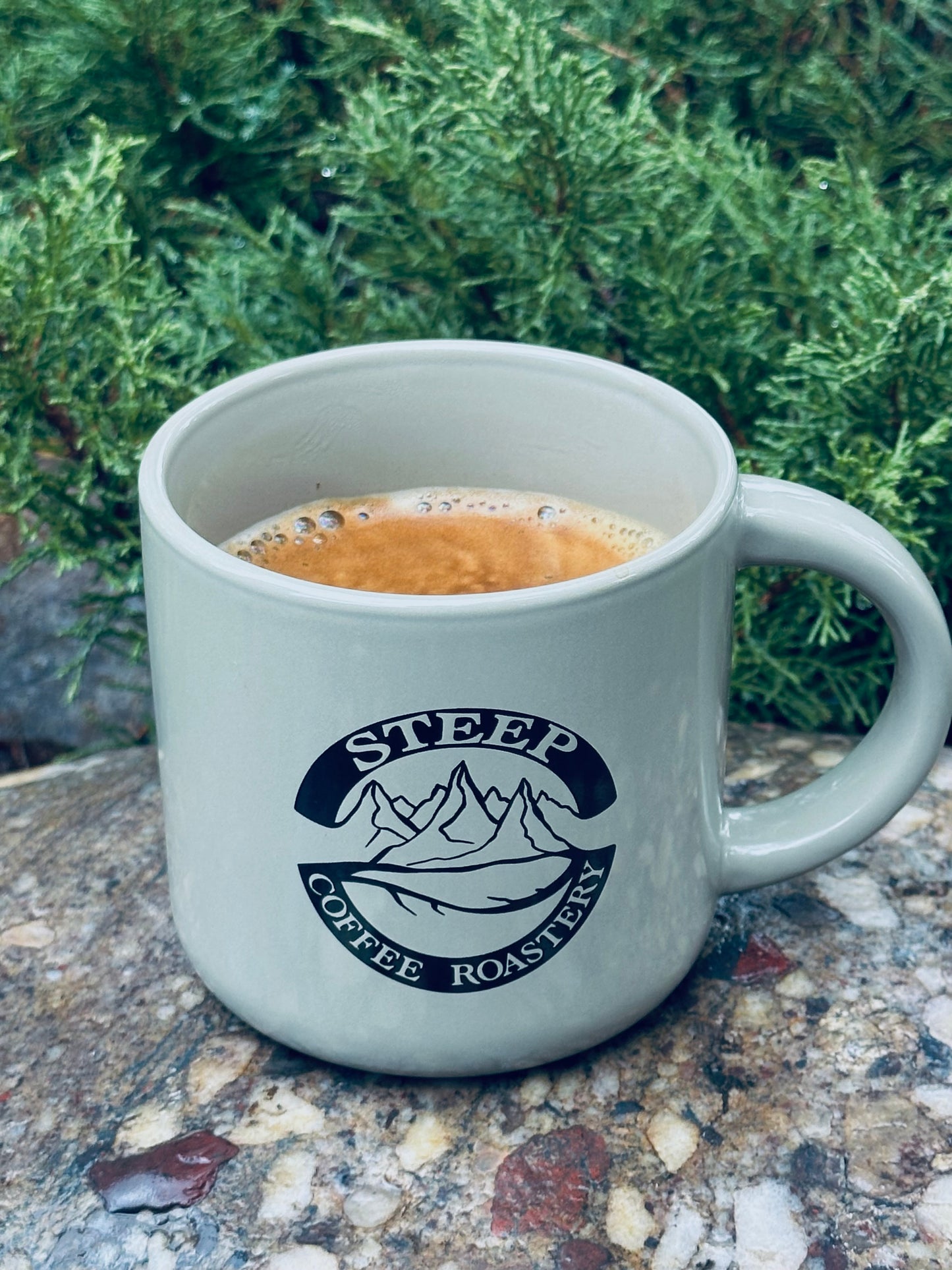 STEEP Mug